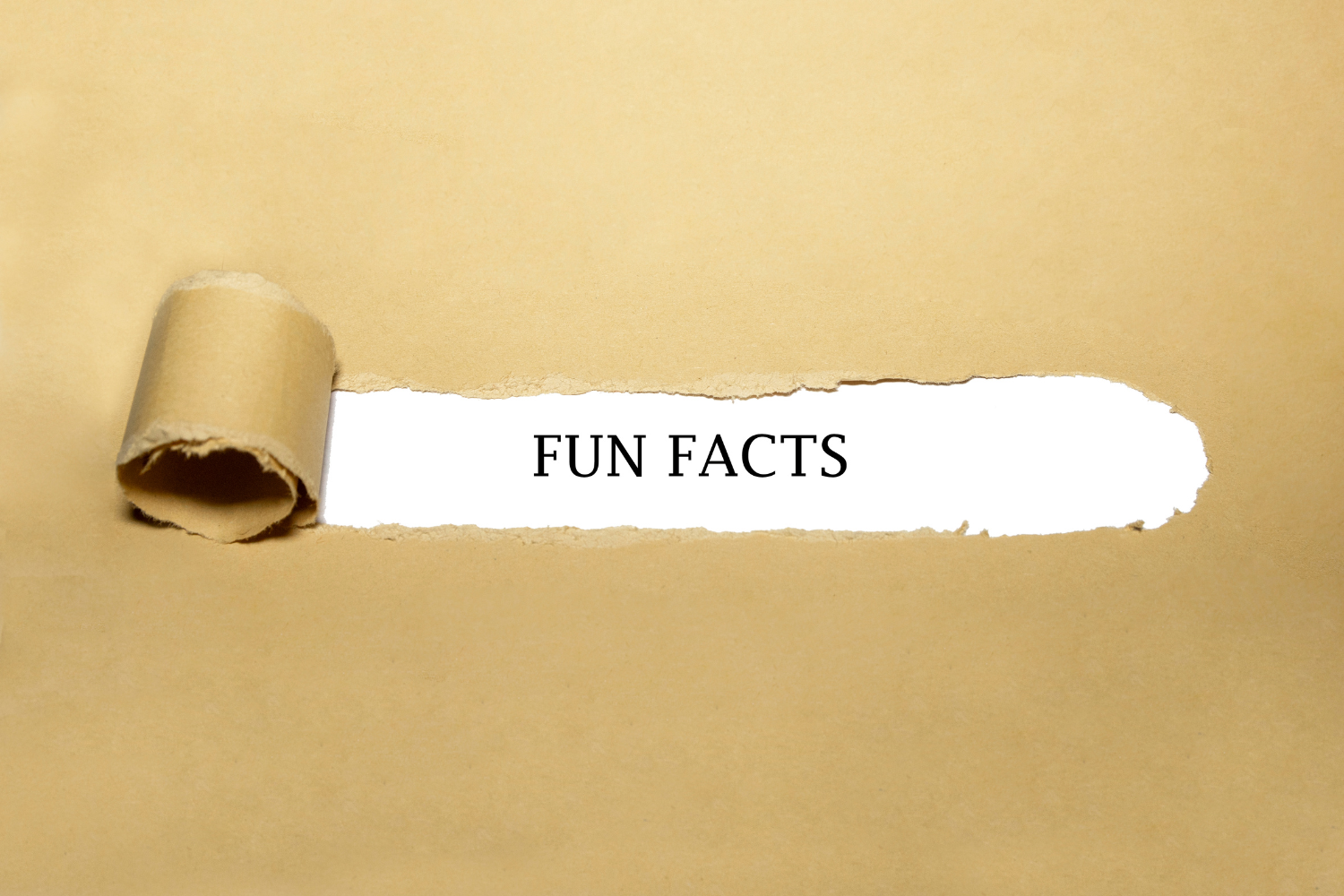 Fun Facts About Me
